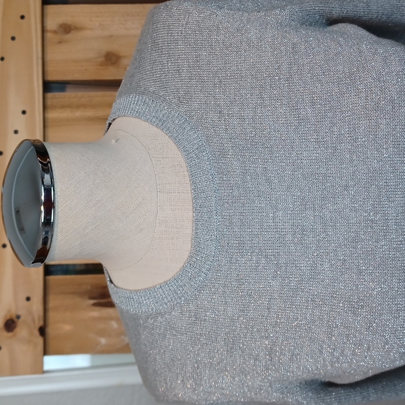 Michael Michael Kors Silver Dress - Picture 3 of 7